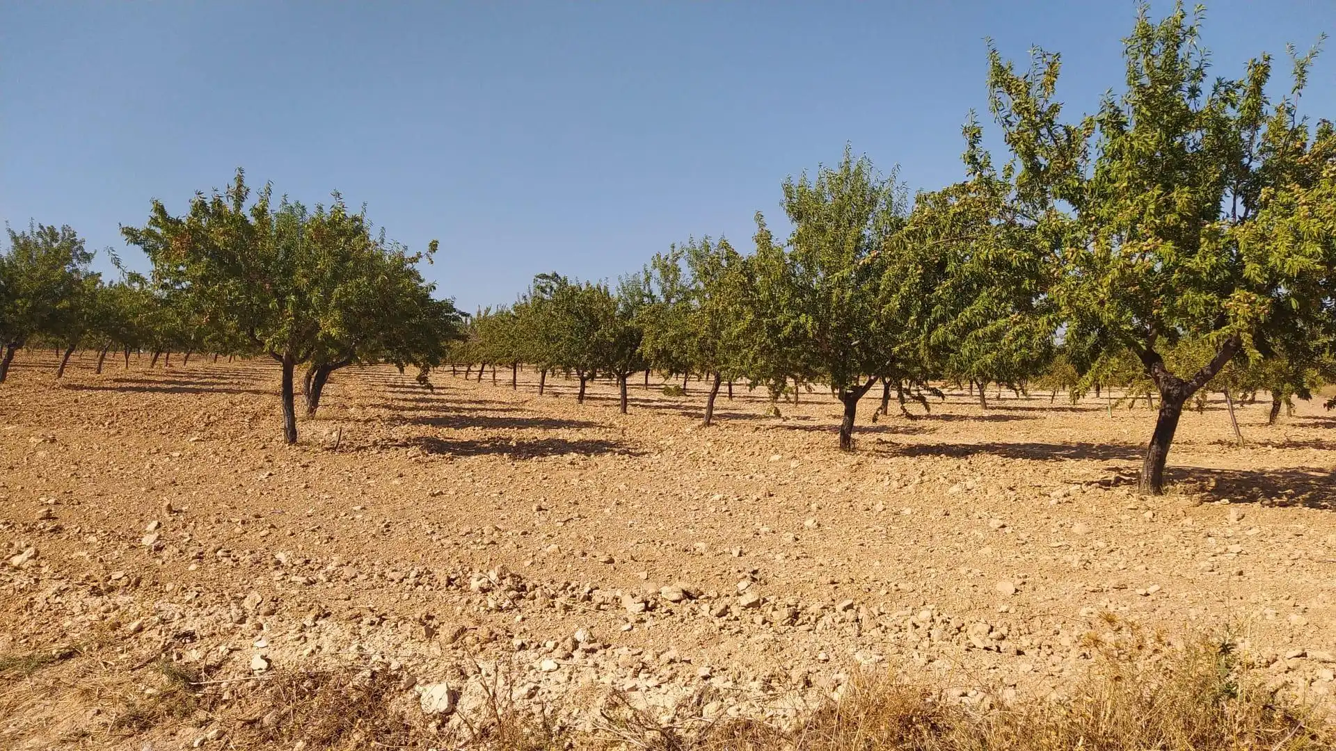 Terreny rústic en venda a Noblejas