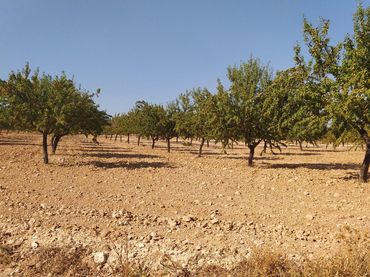 Terreno rustico in vendita a Noblejas