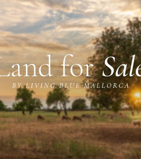 Photo 2 of Residential for sale in Marratxinet, Marratxí