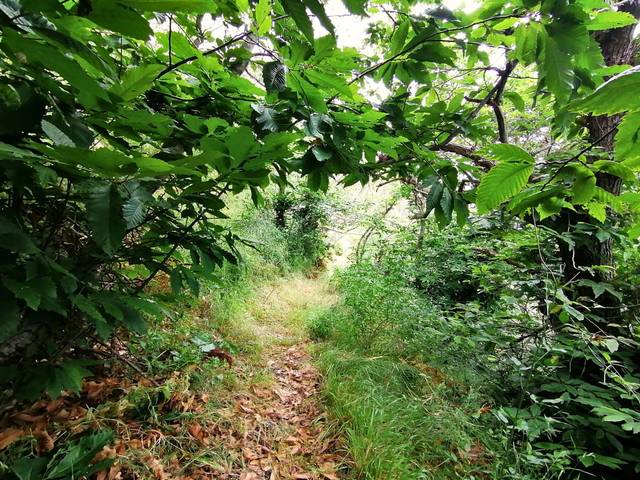 Casa-chalet en Venta en El Puerto en Frontera