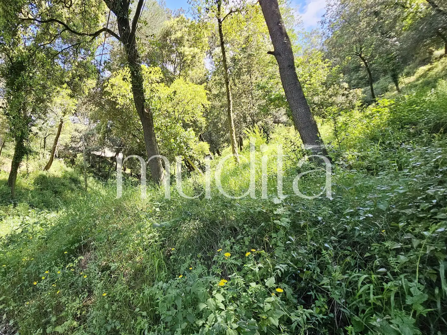 Residential land for sale in Sant Pere de Vilamajor, imagen 10