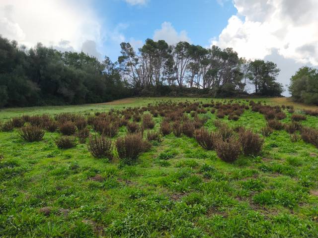 Terreno en Venta en Sant Joan