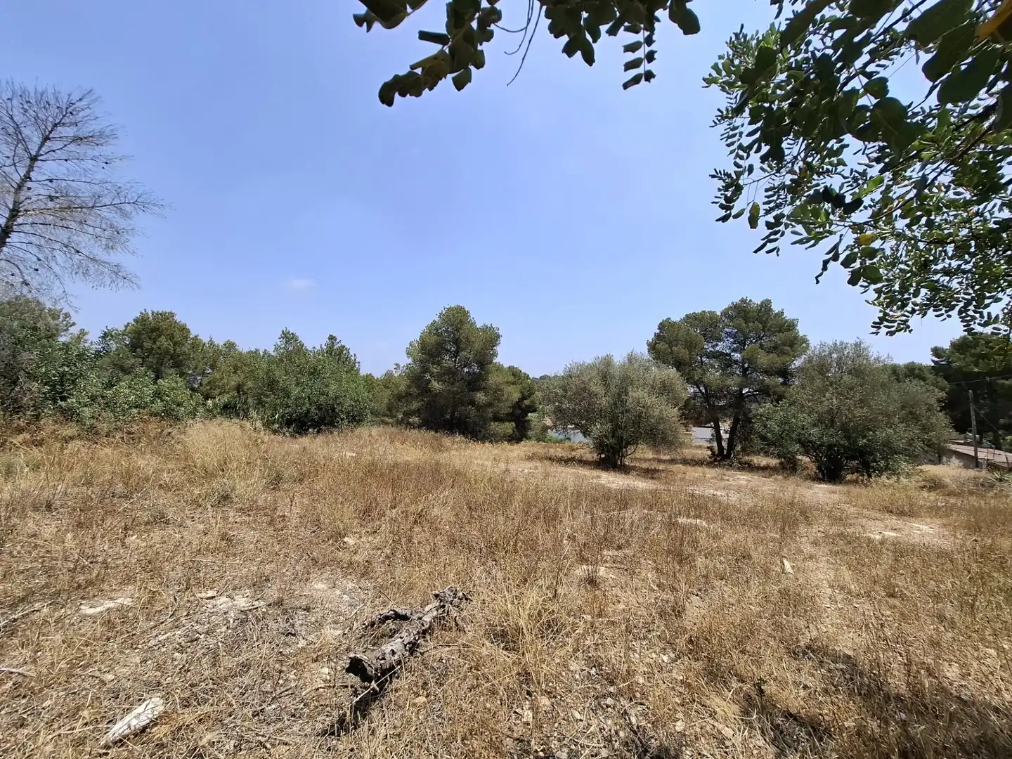 Residential land for sale in Calle N 1 LLOMA PORRET, imagen 28