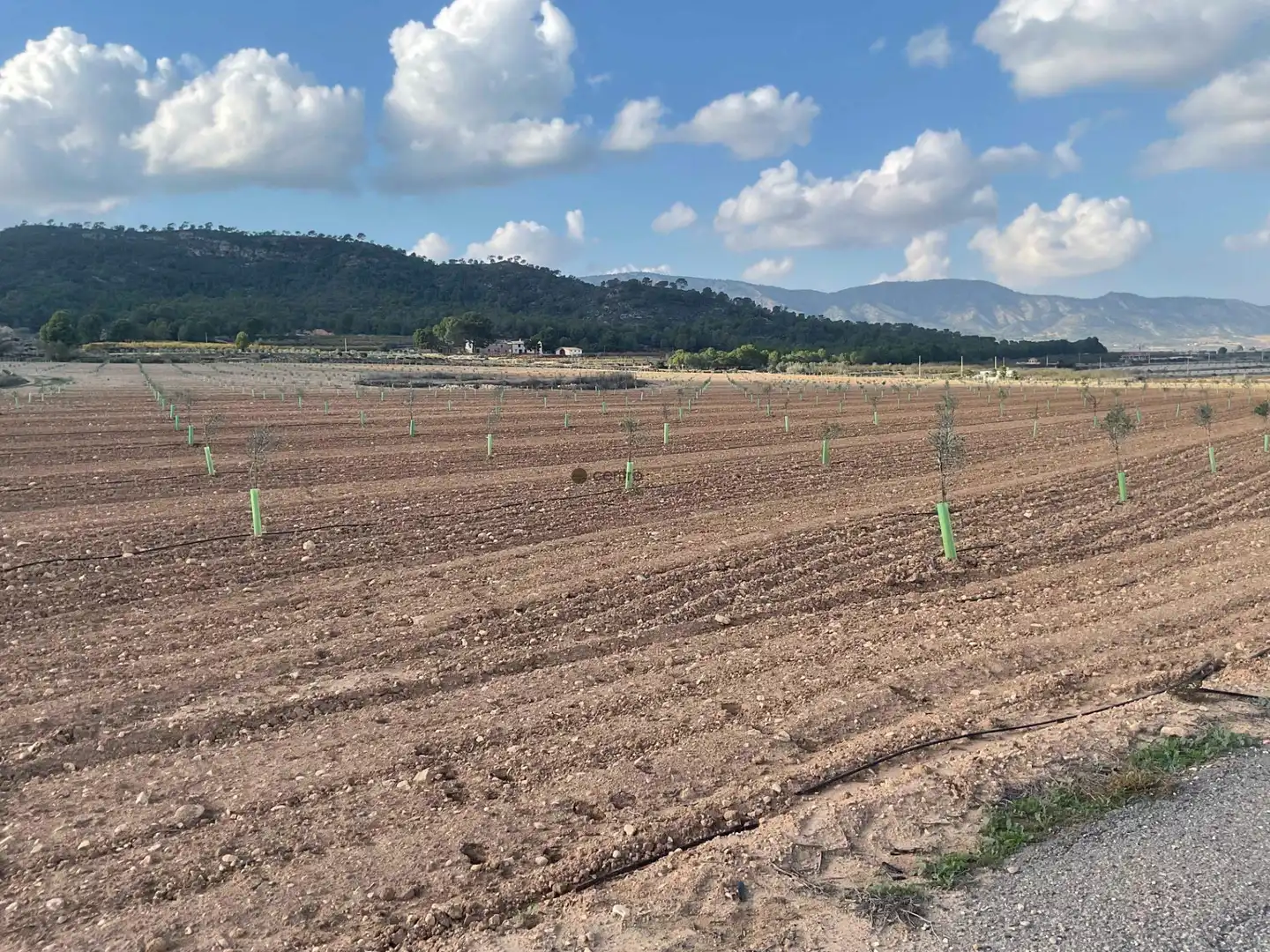 Rustikales Grundstück zum Verkauf in Salinas, imagen 8