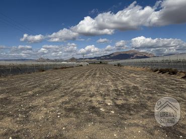 Terrain rustique à vendre à Autovía de Alicante