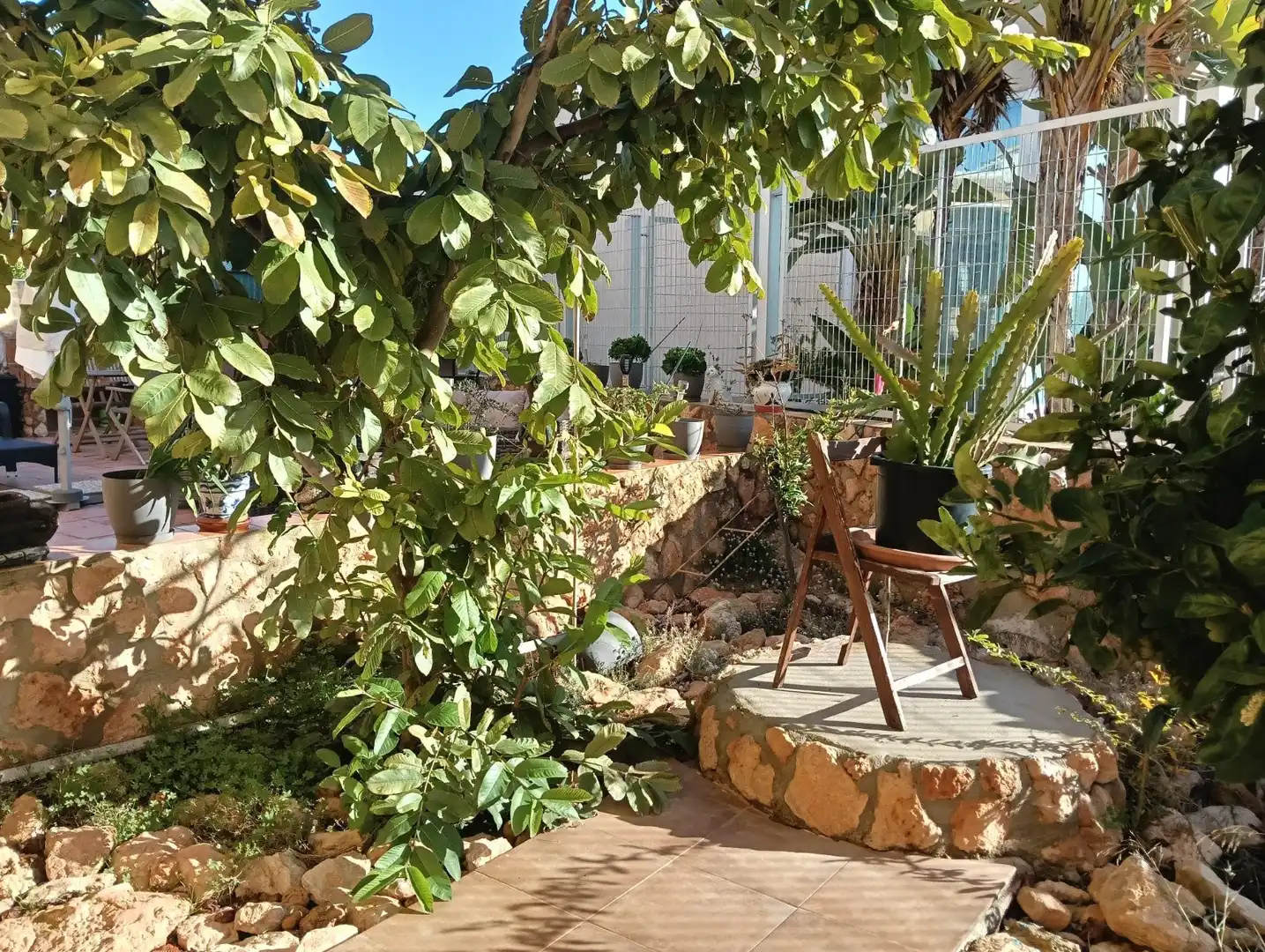 Terrace of Apartments for sale in Los Montesinos  with Private garden, Terrace and Storage room