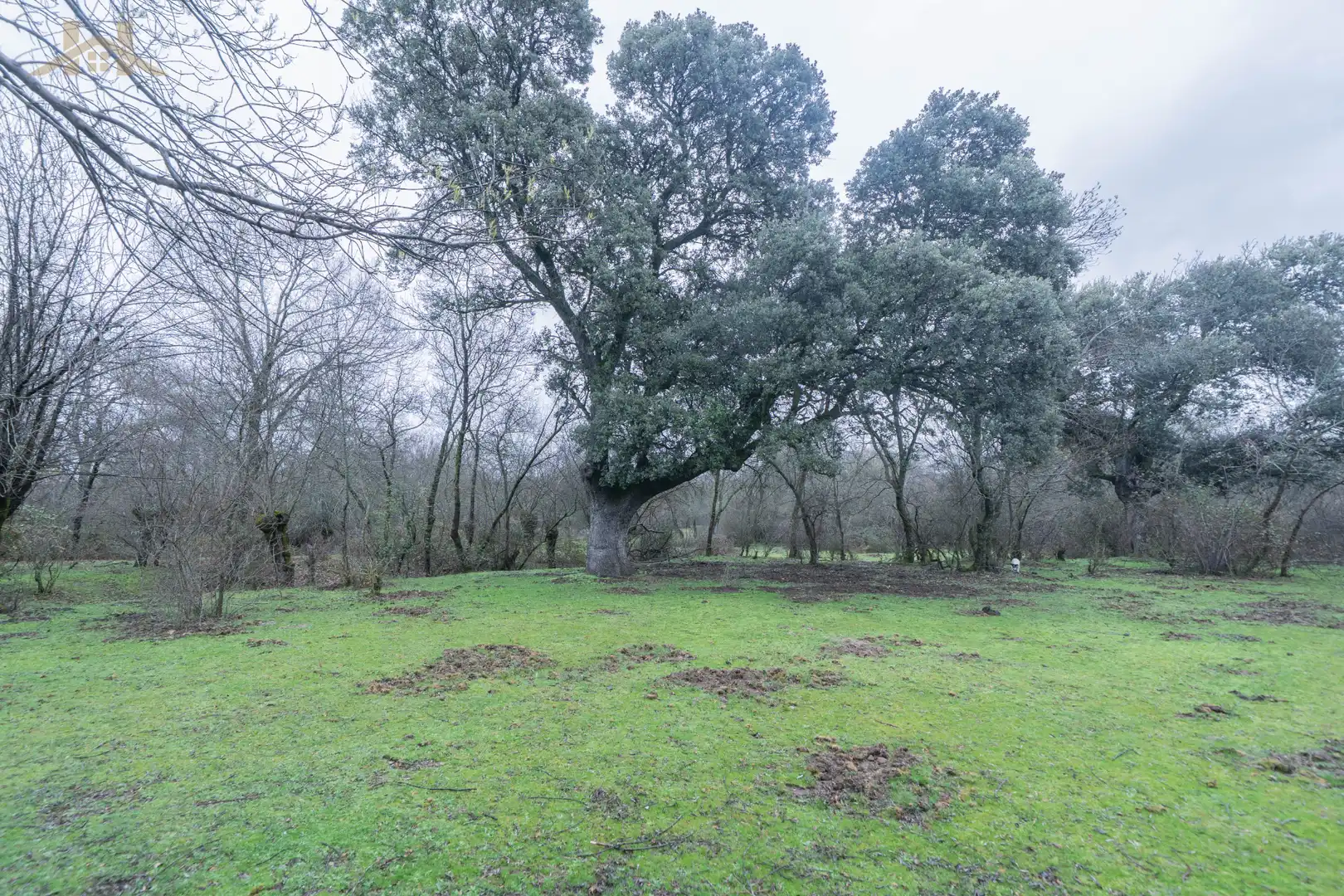 Terreno en venta en San Lorenzo de El Escorial