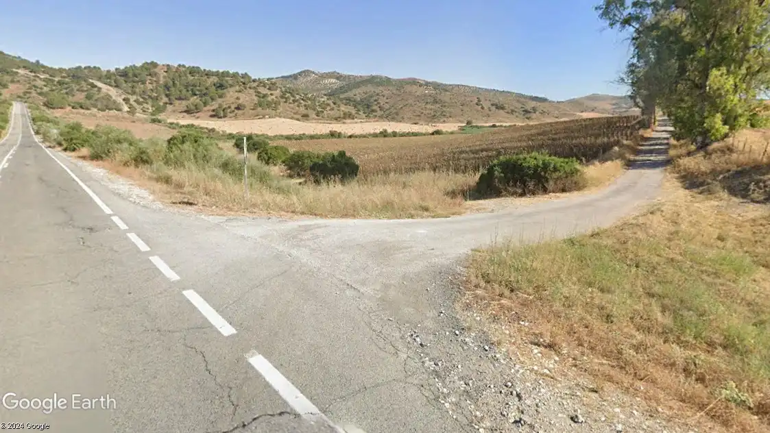 Rural land for sale in Morón de la Frontera, imagen 5