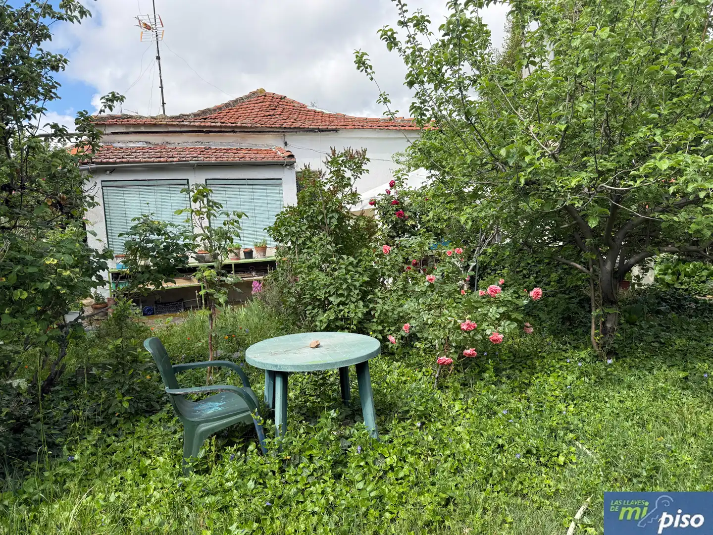 Garden of Houses for sale in Valladolid Capital  with Private garden, Parquet flooring and Terrace