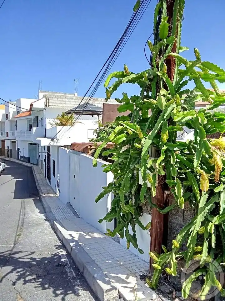 Vista exterior de Casa o xalet en venda en Adeje