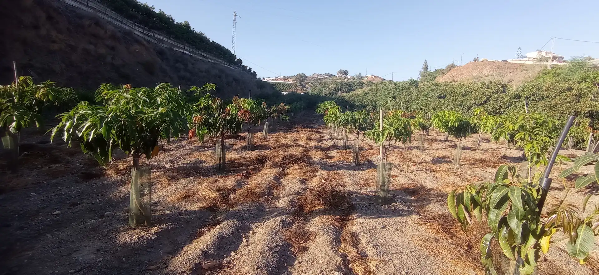 Country house zum Verkauf in Calle Manuel de Falla, Algarrobo Costa