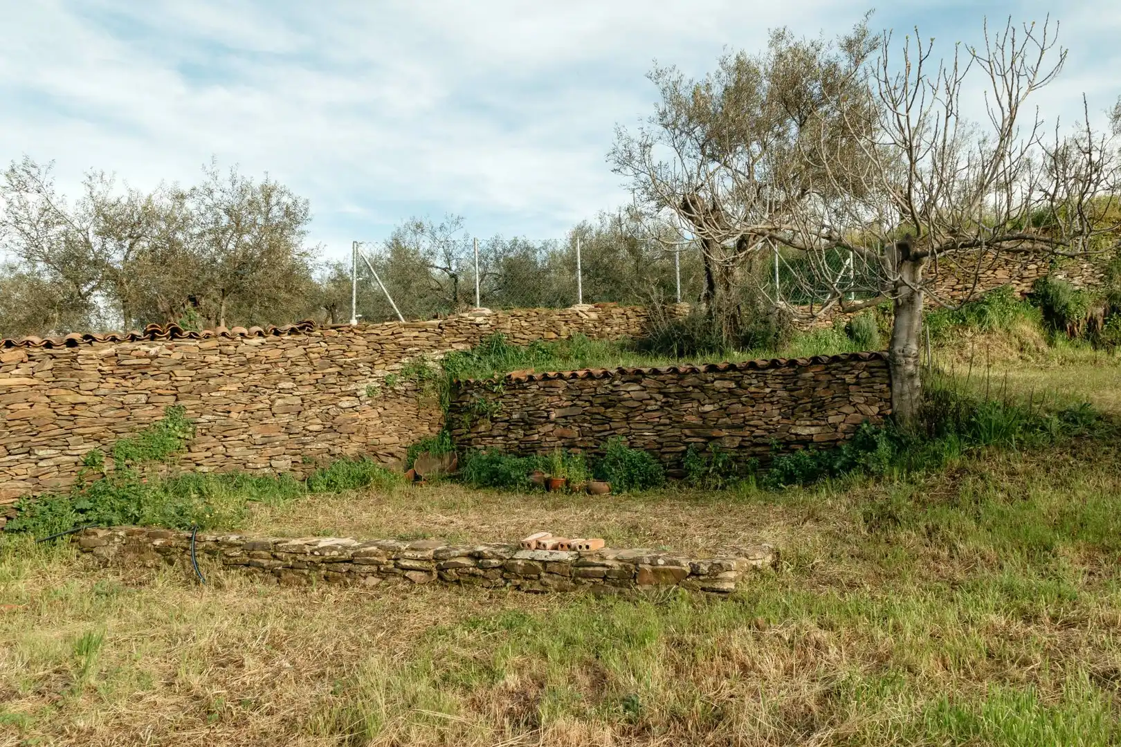 Terreni e lotti in vendita a Calle Pozo Nuevo 3, imagen 3