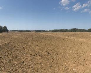 Finca rústica en venda en Chiclana de la Frontera