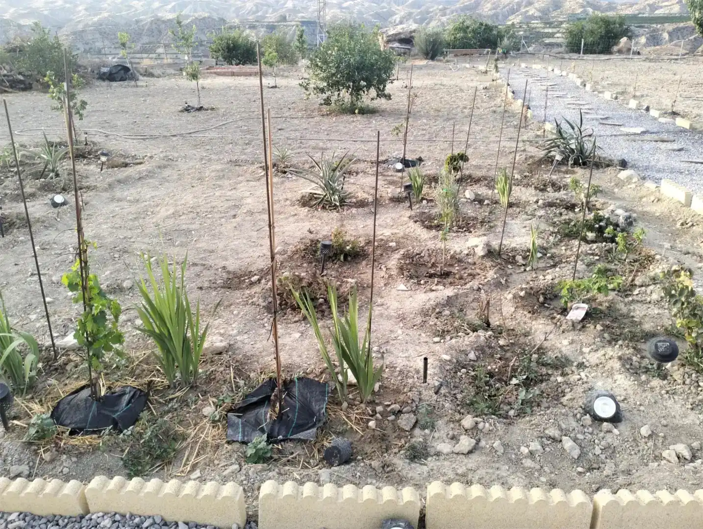 Casa o xalet en venda en Íllar amb Aire condicionat