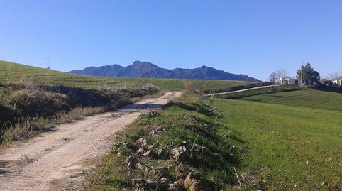 Foto 5 de Terreno en venta en Partidas Norte, Ronda
