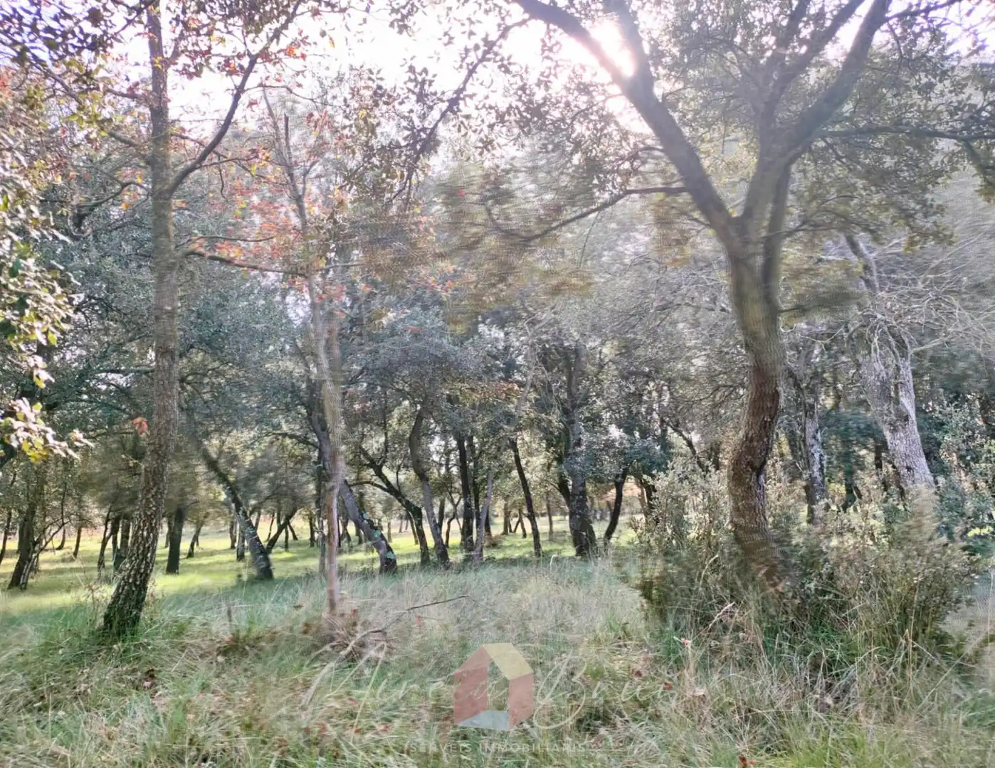 Residential zum Verkauf in de Pinós, Prats de Lluçanès