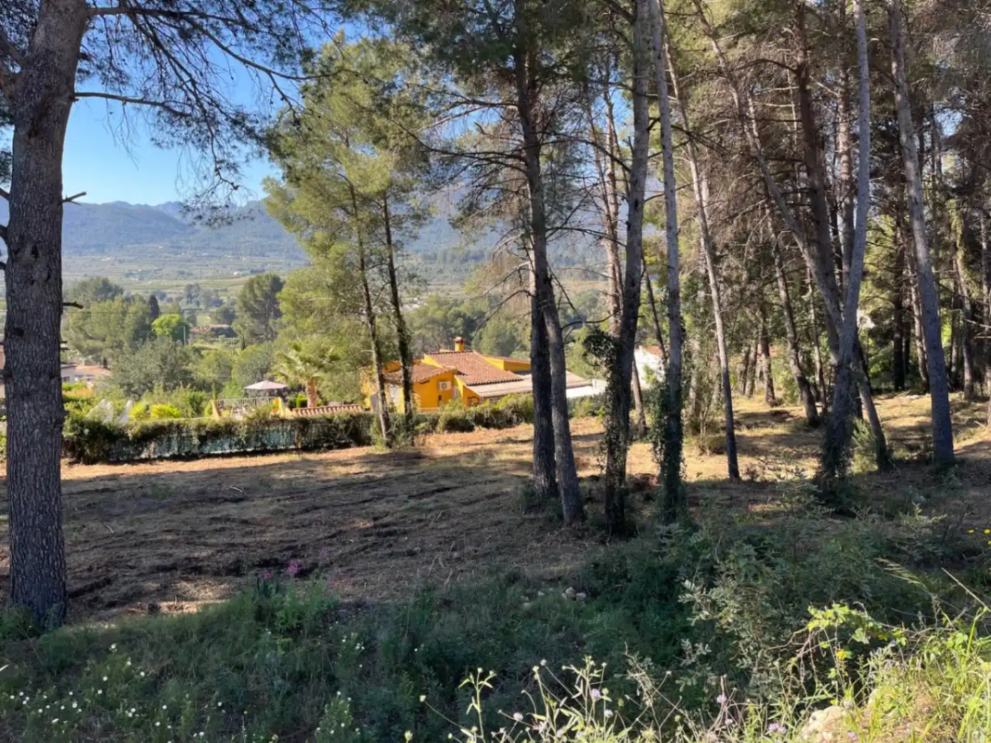 Terreny residencial en venda a Alcalalí, imagen 3