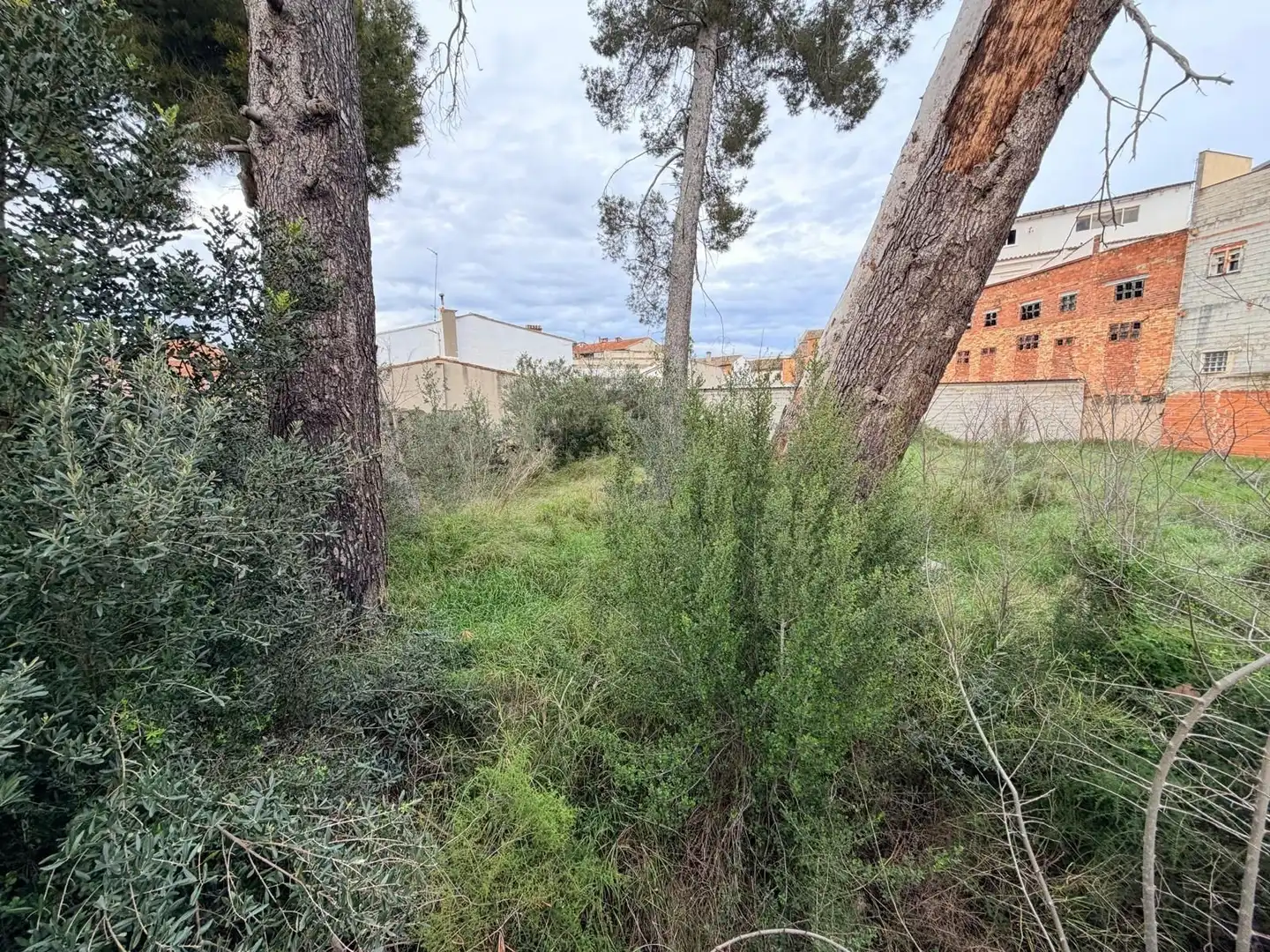 Terreno residencial en venta en Bélgida, imagen 5