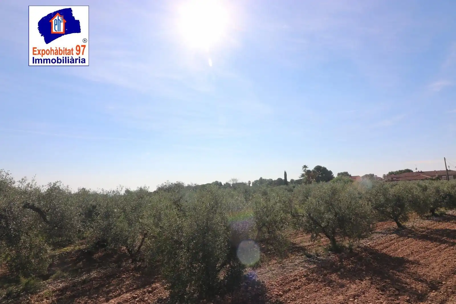 Lands and plots for sale in Carrer Partida Tarrès, imagen 4