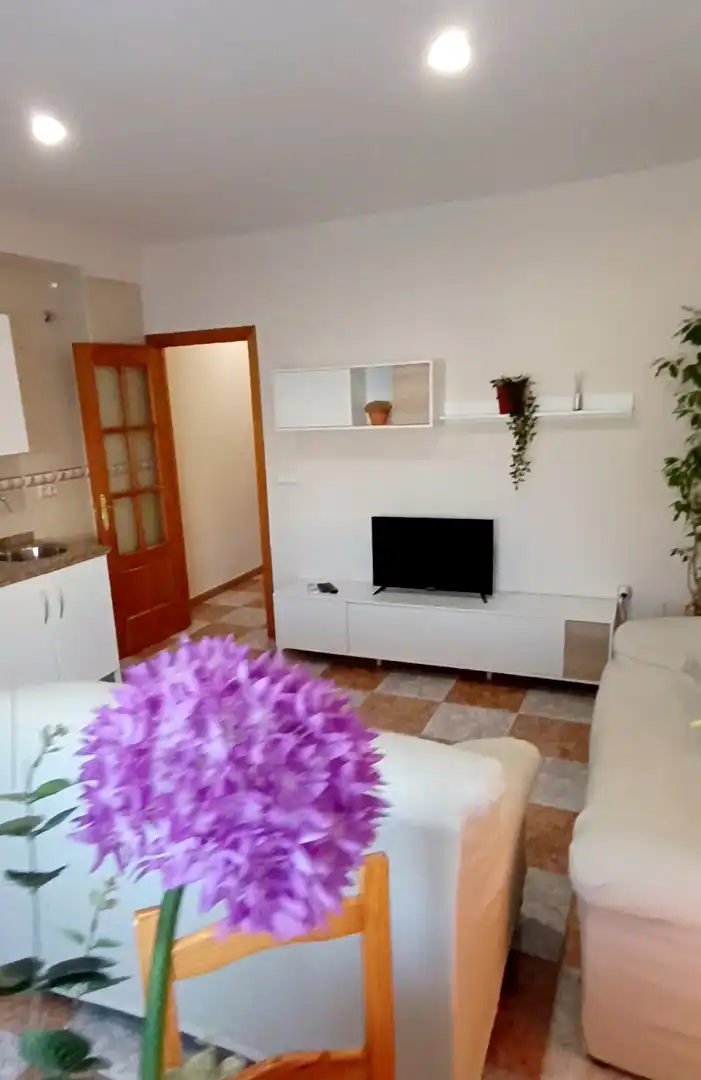 Wohnzimmer von Wohnung zur Miete in Armilla mit Klimaanlage, Möbliert und Waschmaschine