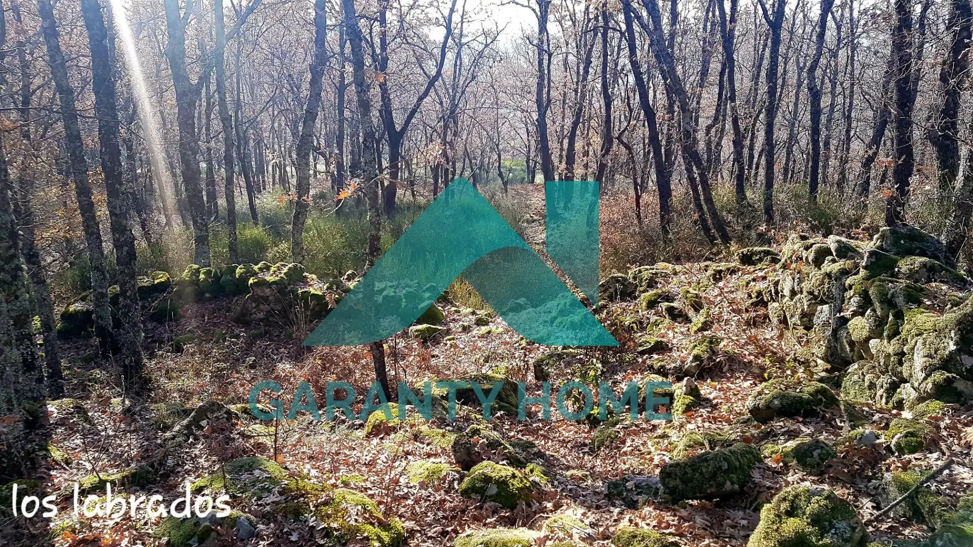 Finca rústica en venta en Aldeanueva de la Vera