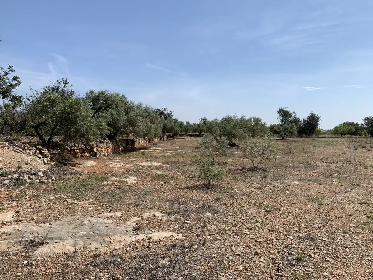 Country homes for sale in L'Ampolla