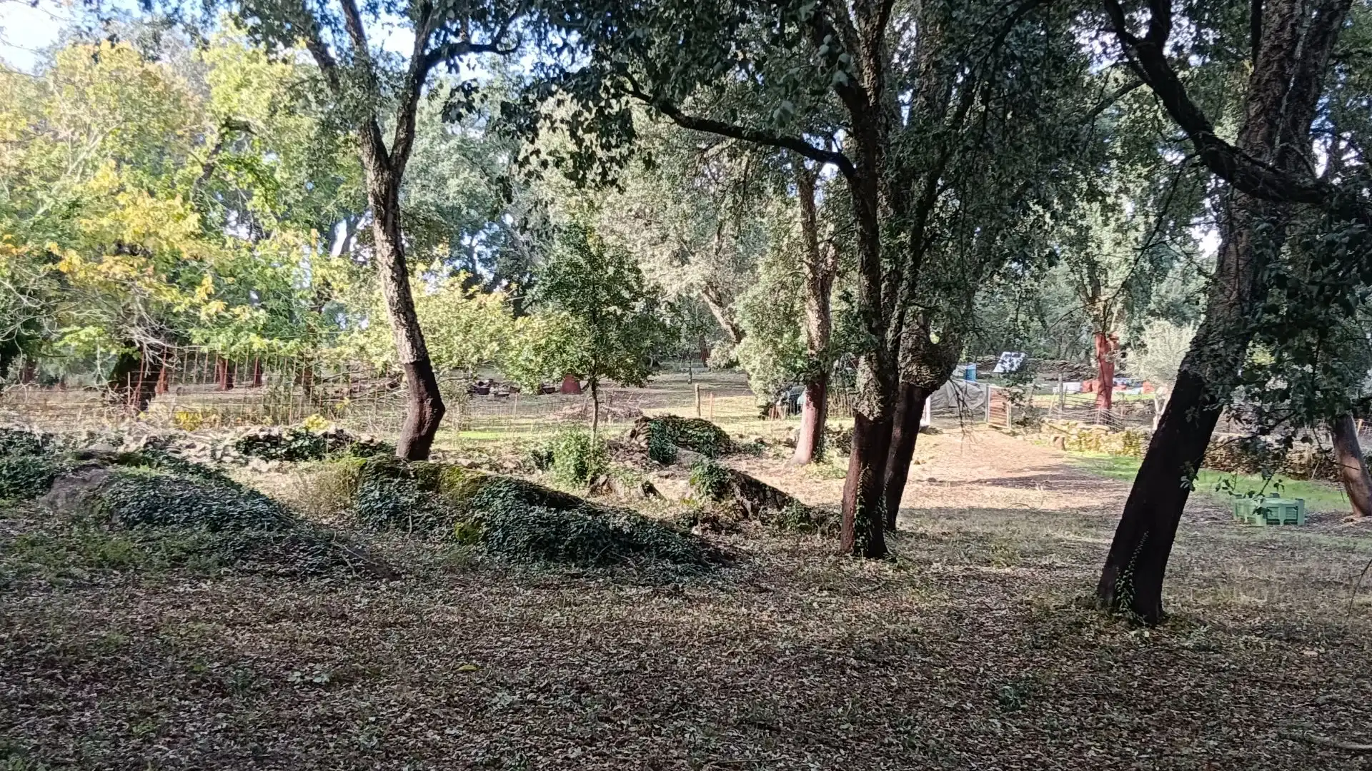 Terreno en venta en Los Marines