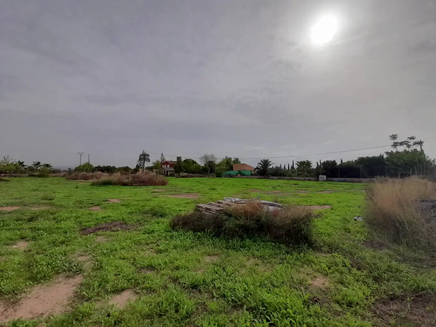 Casa o xalet en venda en Novelda amb Terrassa i Alarma