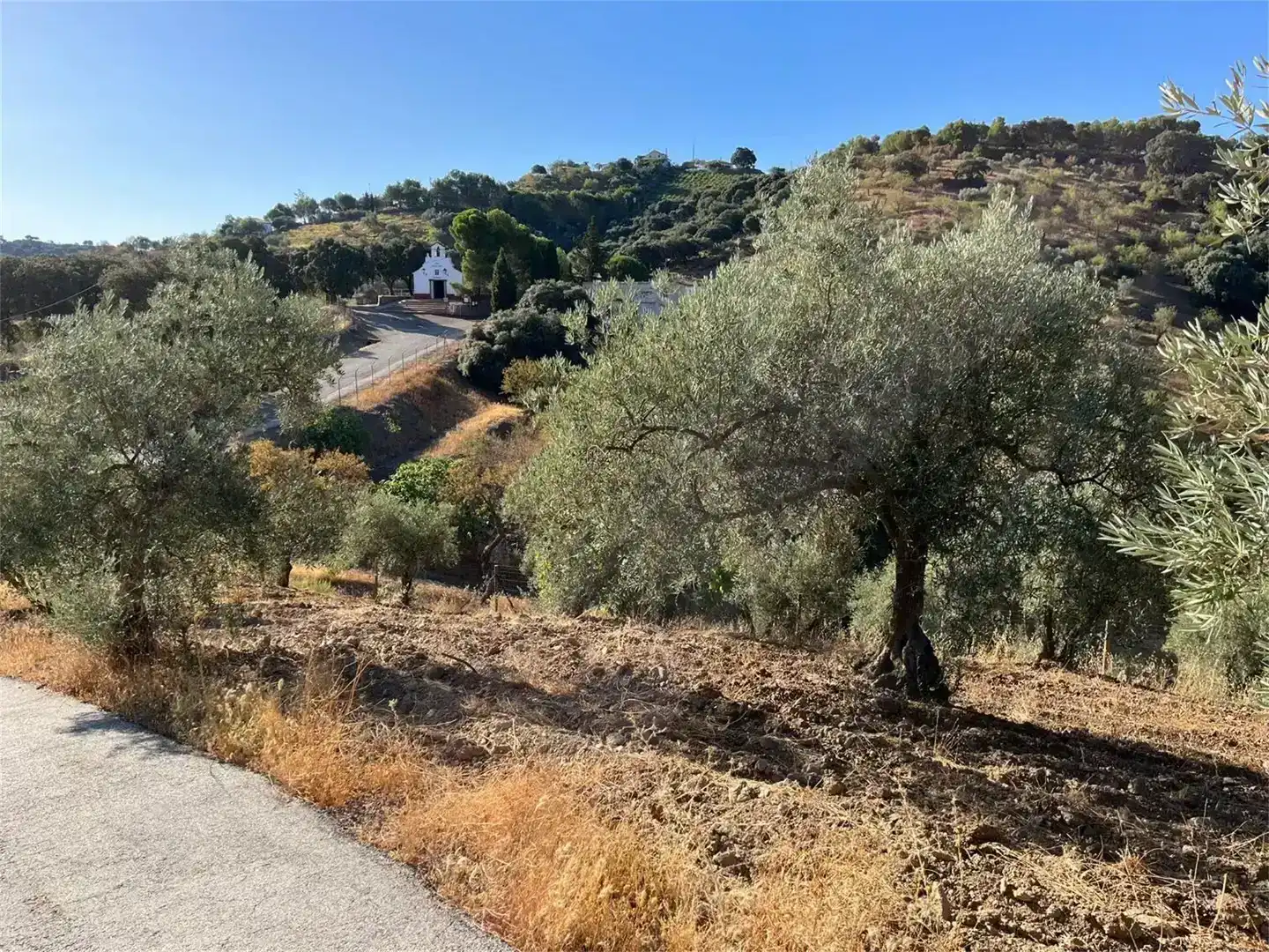 Finca rústica en venda en Málaga Capital
