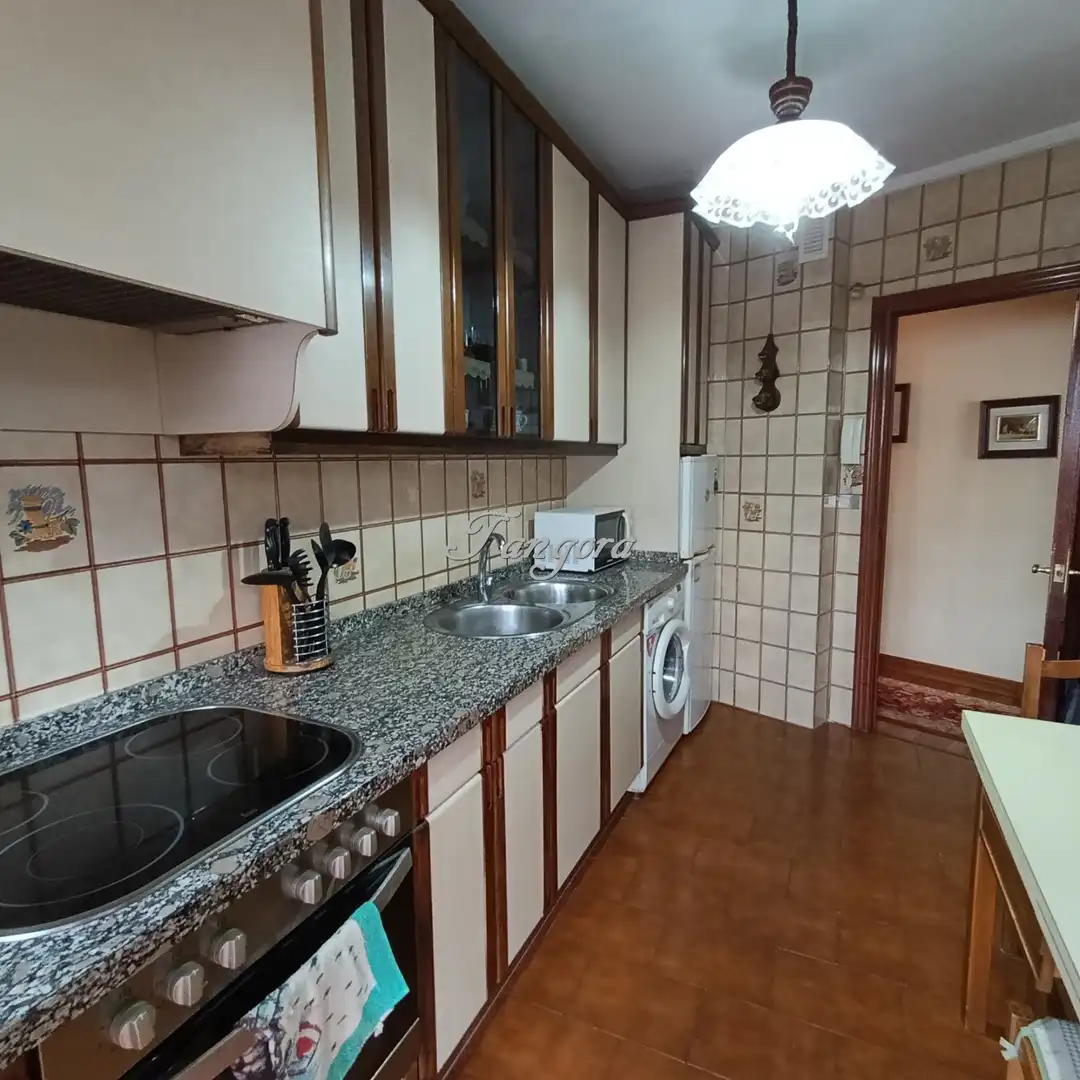 Cocina de Piso en venta en Getxo  con Calefacción, Parquet y Terraza