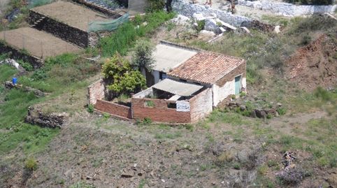 Foto 3 de Finca rústica en venta en Sayalonga, Málaga