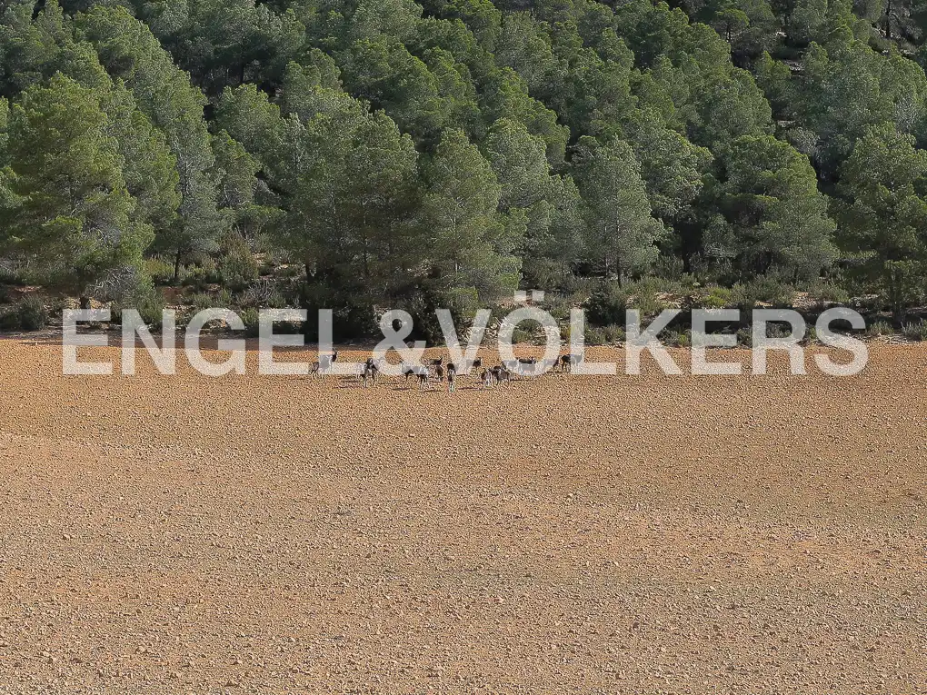 Finca rústica en venda en Ayora amb Calefacció, Jardí privat i Terrassa