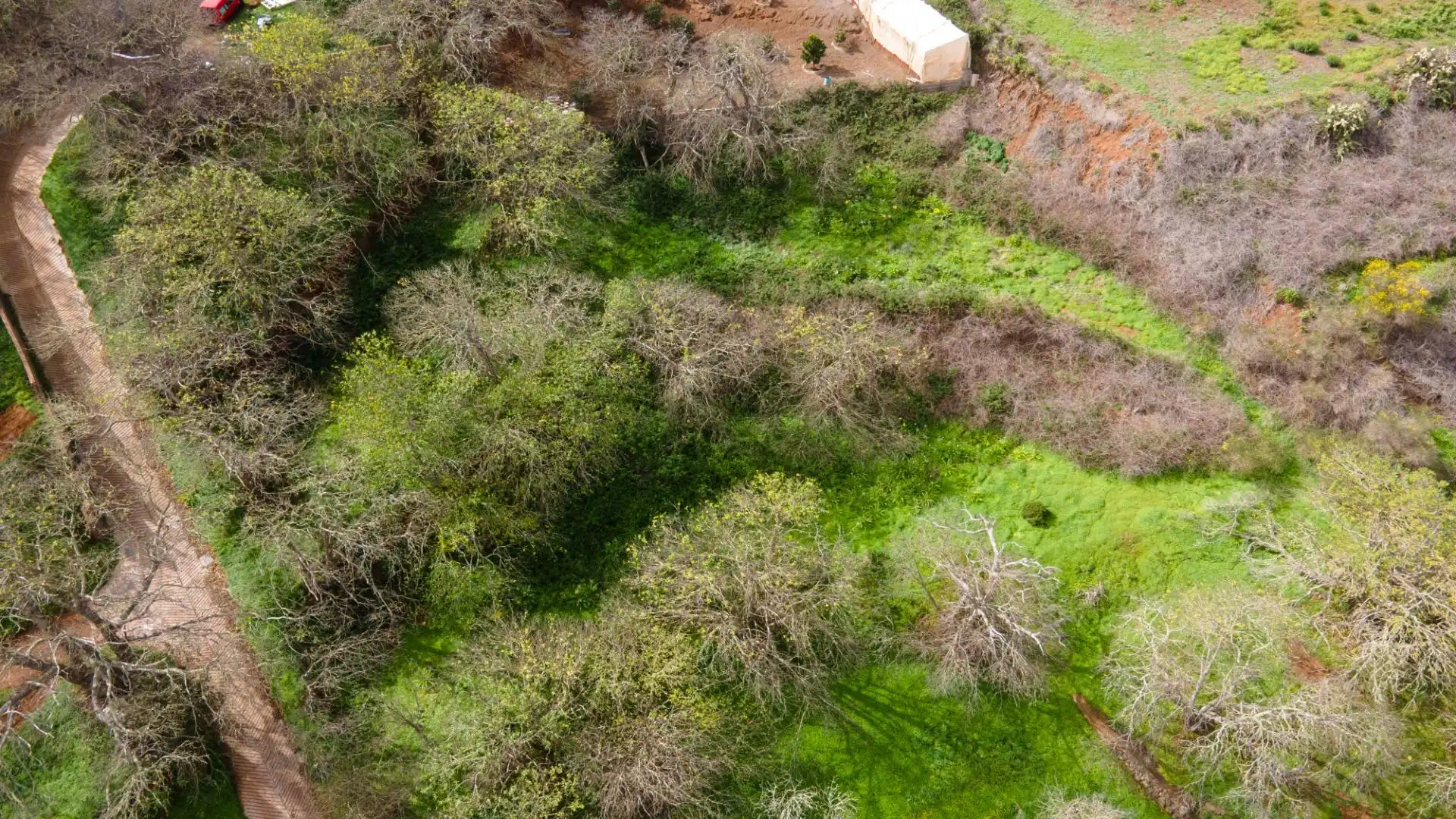 Rustikales Grundstück zum Verkauf in La Esperanza 17, imagen 17