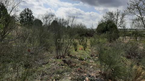 Photo 3 of Industrial land for sale in Nus-20 Golf Guadiana Manzana C-3b, S/n, Golf Guadiana, Badajoz
