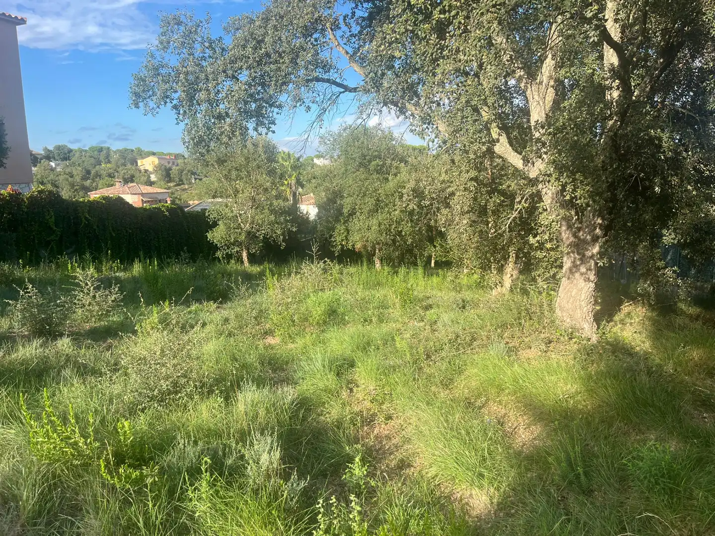 Residential land for sale in Sils