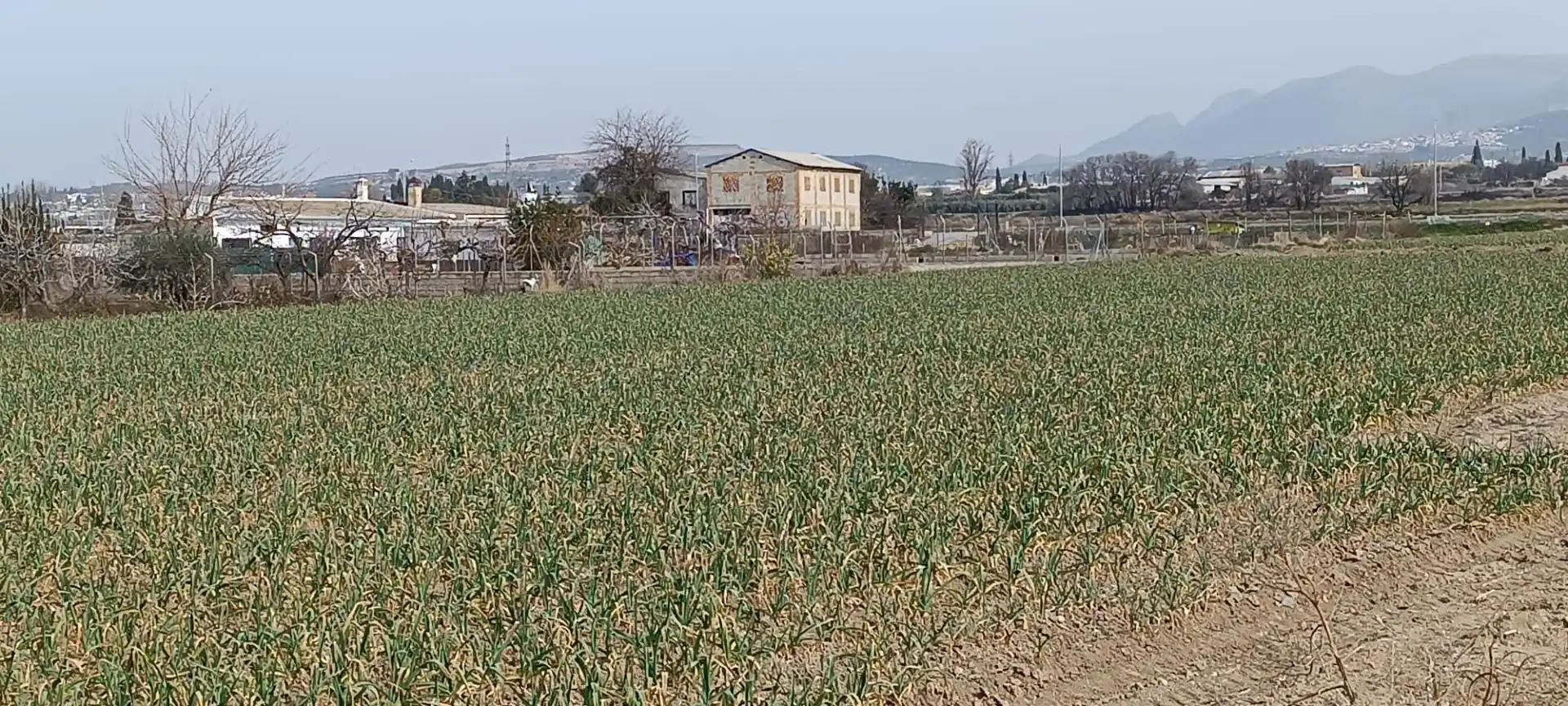 Country house zum Verkauf in Maracena