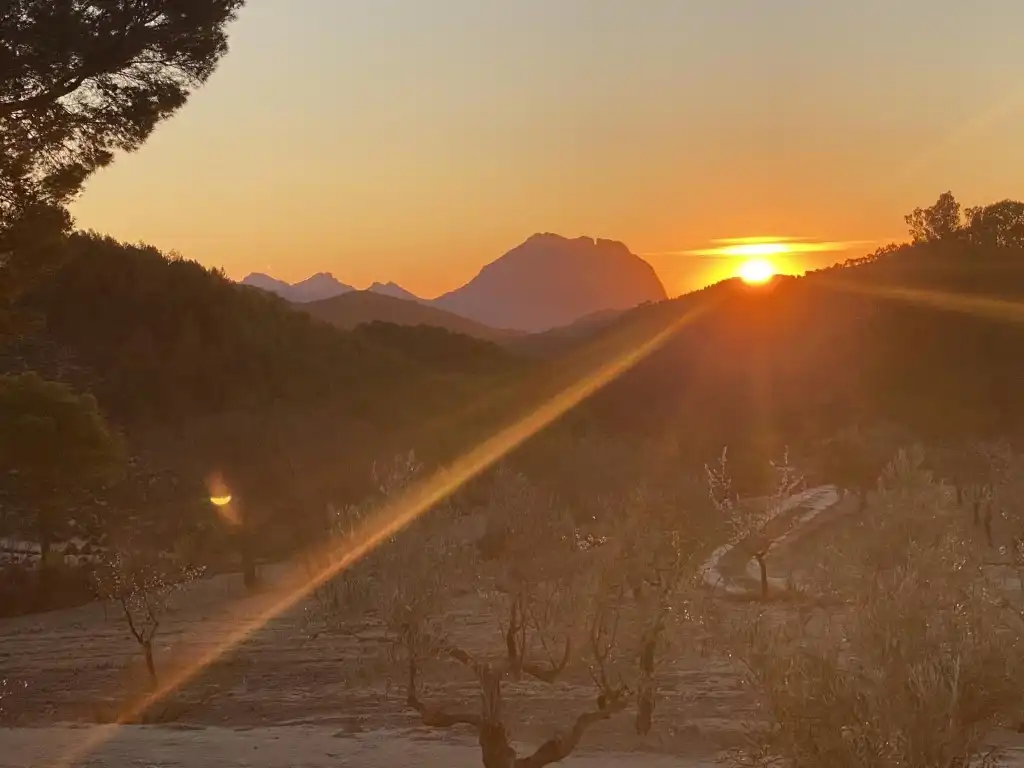 Vista exterior de Casa o xalet en venda en Torremanzanas / La Torre de les Maçanes amb Aire condicionat, Jardí privat i Piscina