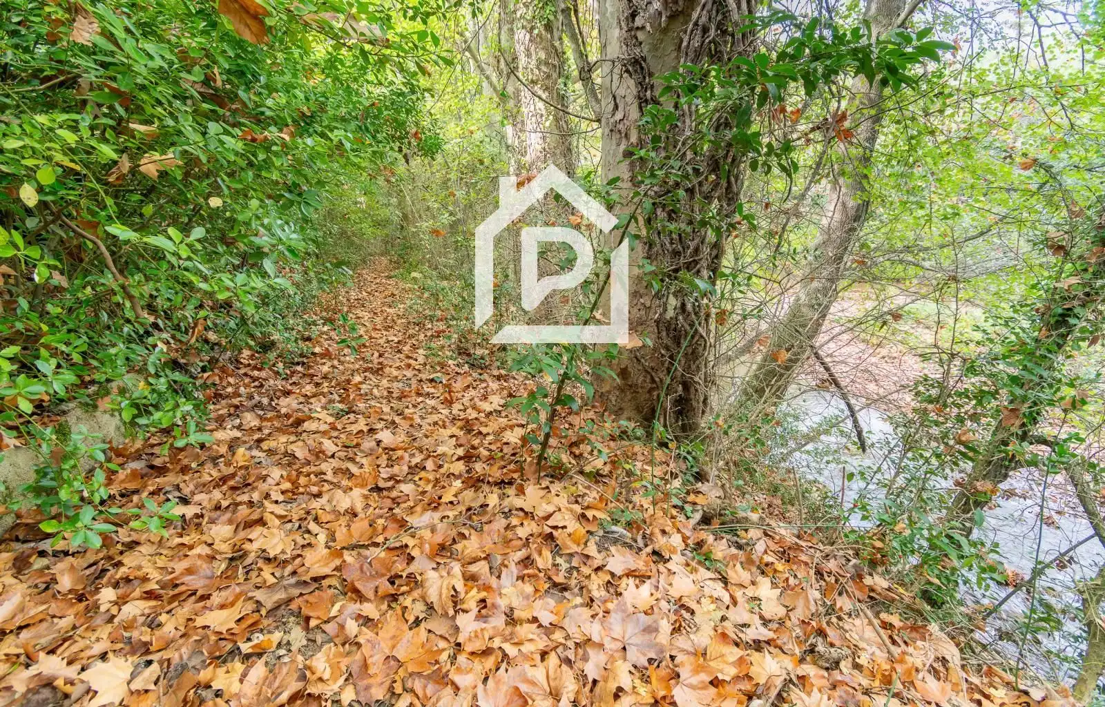Villa mit Garten zum Verkauf in DE LA RESCLOSA, imagen 57