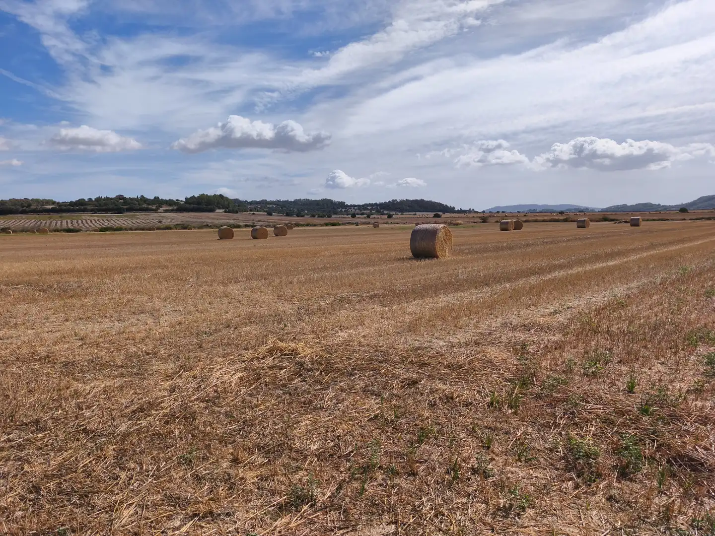 Terreno rustico in vendita a Diseminado Varis 217, imagen 4