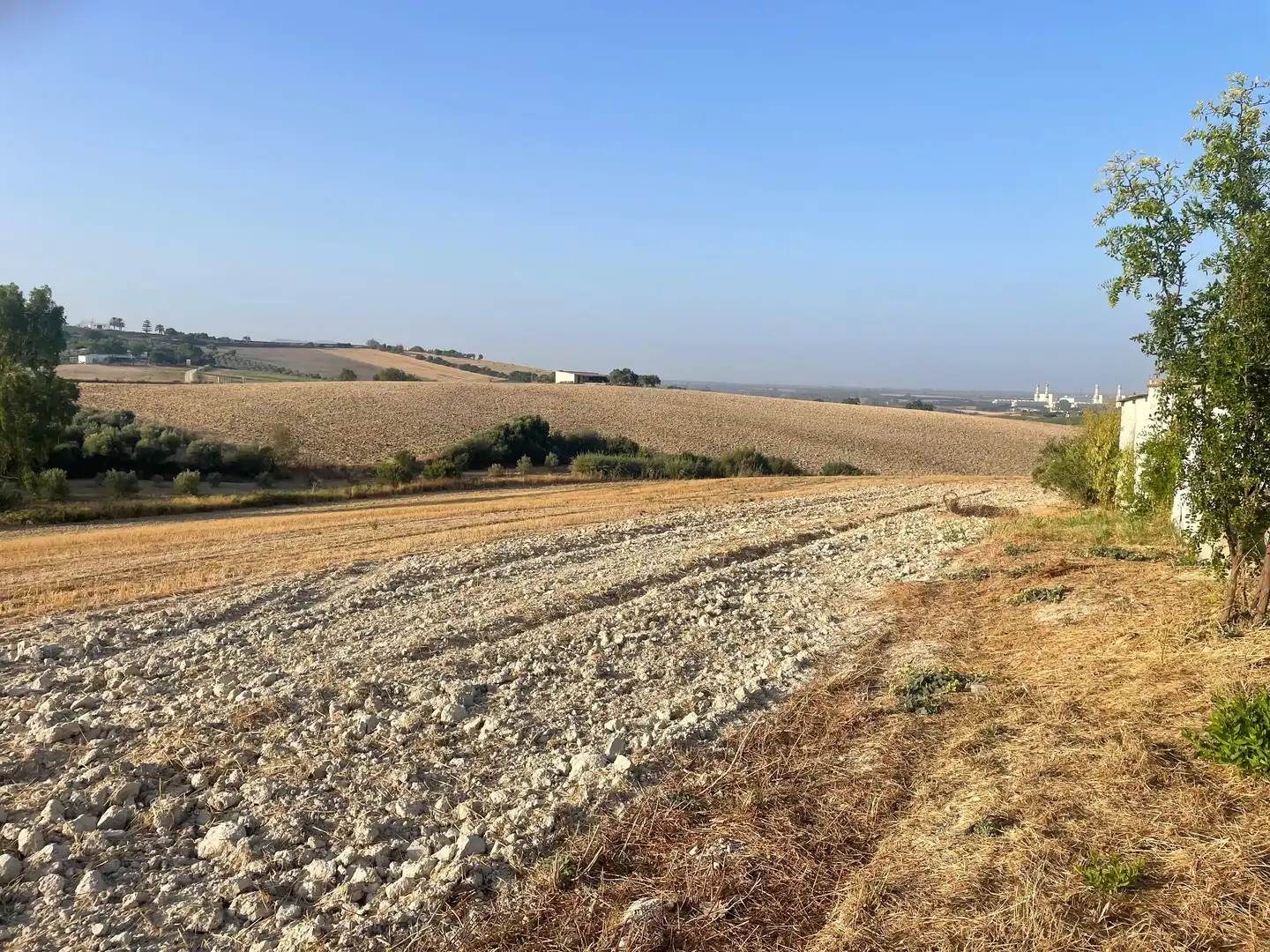 Casa rústica en venda a Arcos de la Frontera, imagen 19