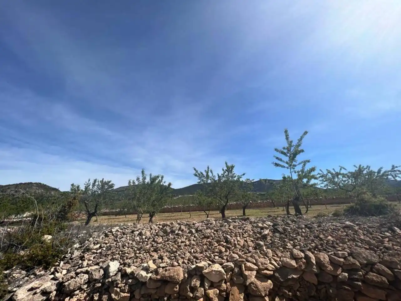 Chalet con jardín en venta en Calle Poligono, imagen 88