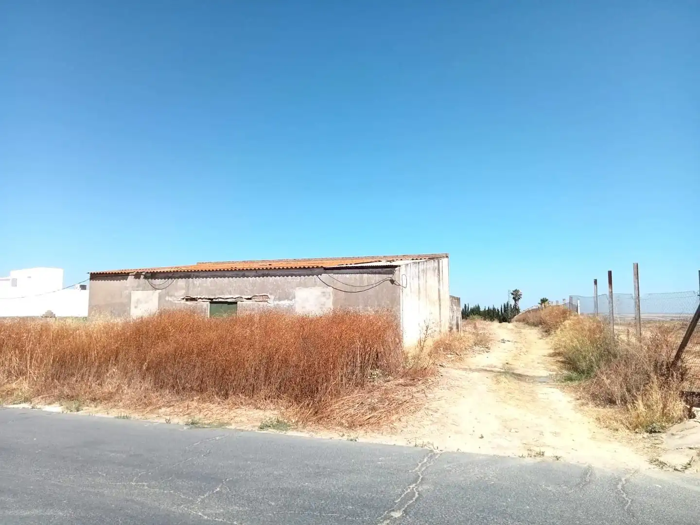 Terreni e lotti in vendita a Moguer, imagen 2