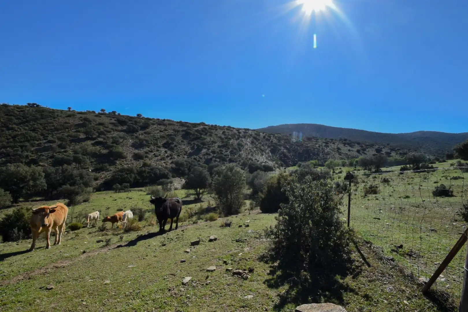 Terreno en venta en Paraje de las Perdices, Lugros