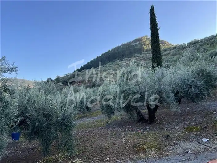 Terreni e lotti in vendita a Alcaudete, imagen 13