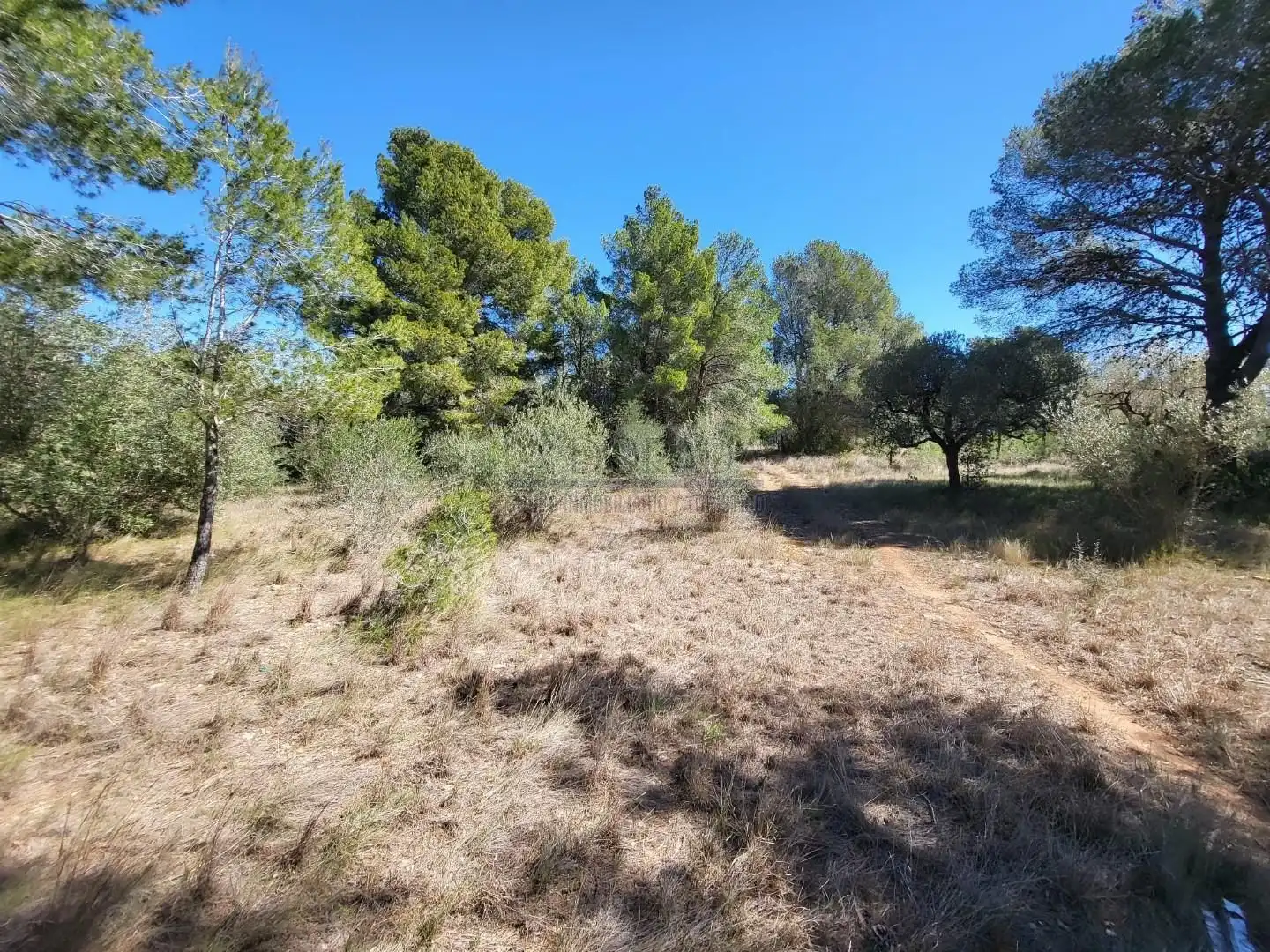 Terreny residencial en venda a Poble, imagen 5