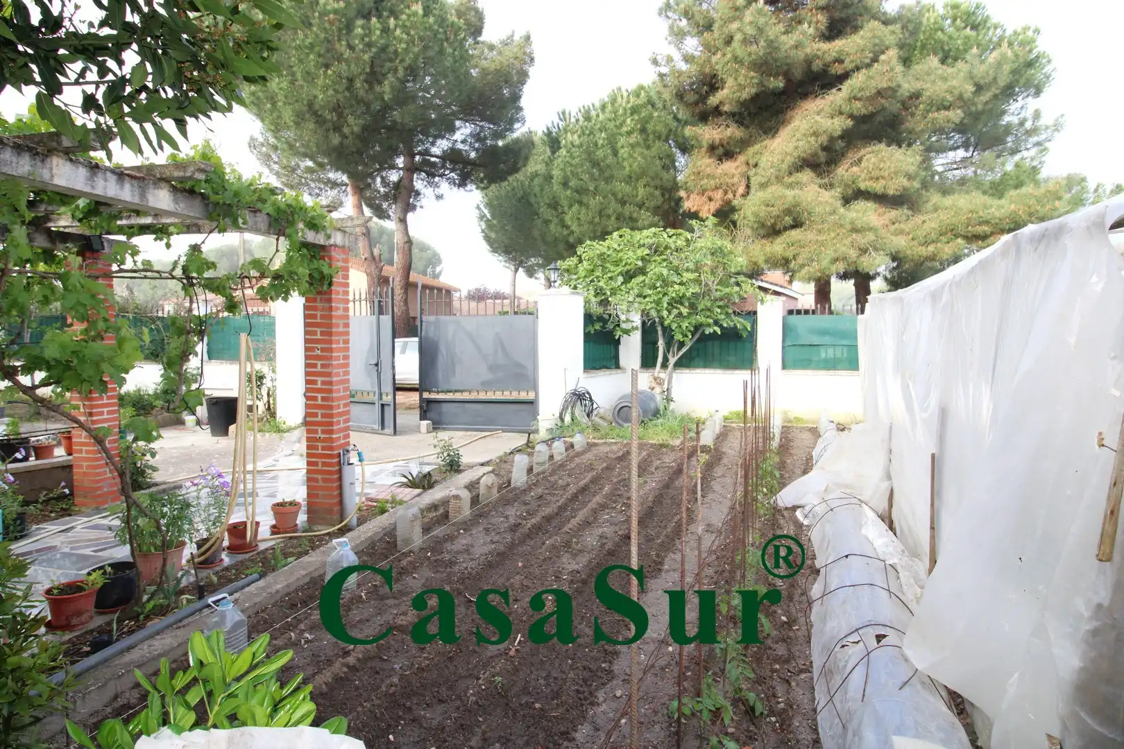 Jardín de Casa o chalet en venta en Traspinedo con Calefacción, Jardín privado y Terraza
