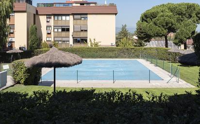 Swimming pool of Flat for sale in Las Rozas de Madrid  with Swimming Pool