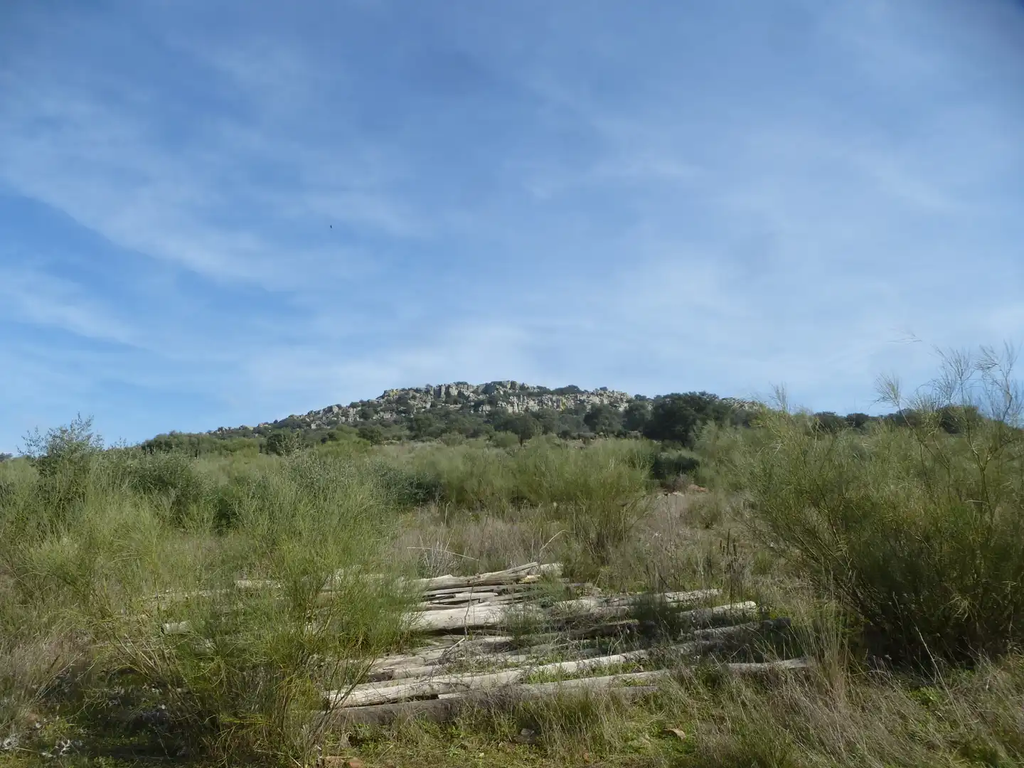 Land for sale in La Haba 