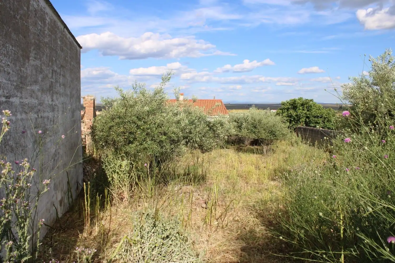 Terreni e lotti in vendita a Sierra de Fuentes, imagen 4