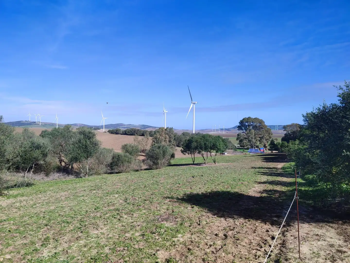 Haus oder Chalet zum Verkauf in Vejer de la Frontera mit Heizung, Privatgarten und Parkett